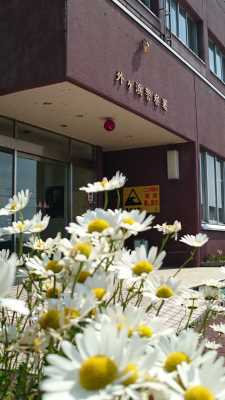 外ヶ浜警察署