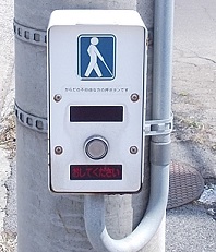 白押ボタン箱の画像