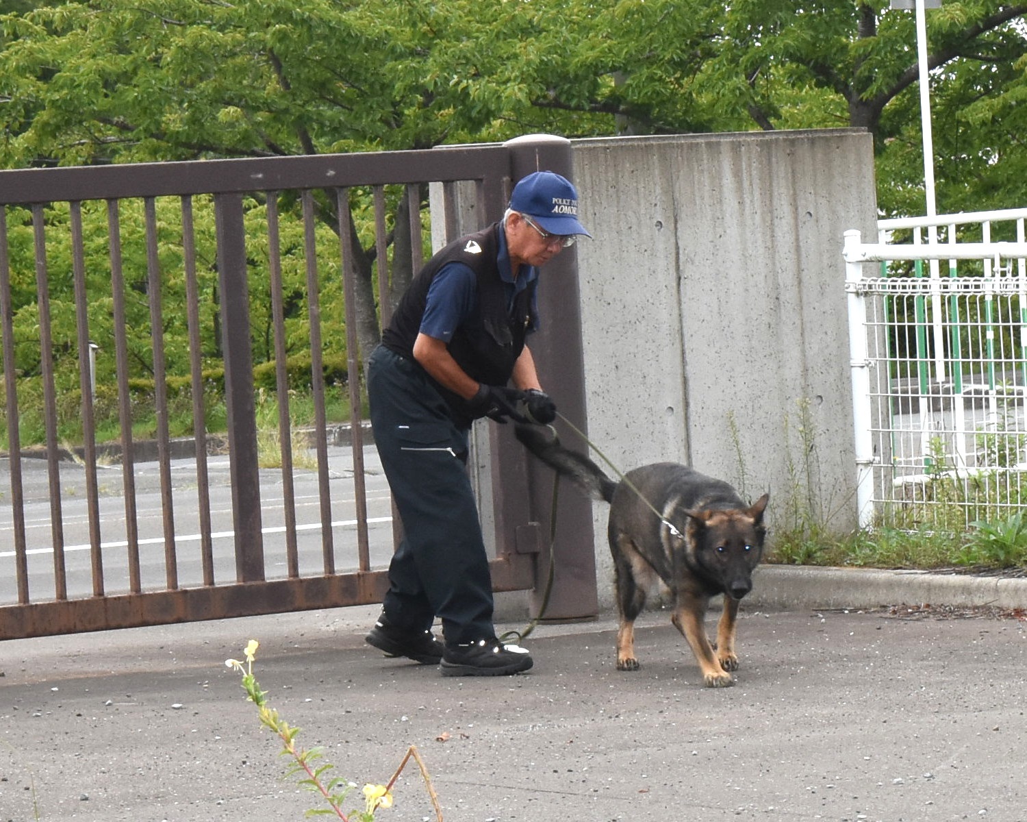 警察犬